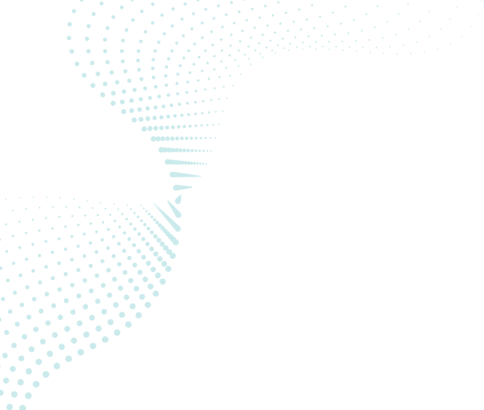 Paro Business Finance Experts