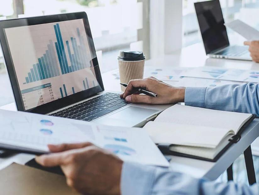 Business Analysis Services | Profitability & Pricing Consulting 6 Person-at-laptop-creates-profitability-analysis